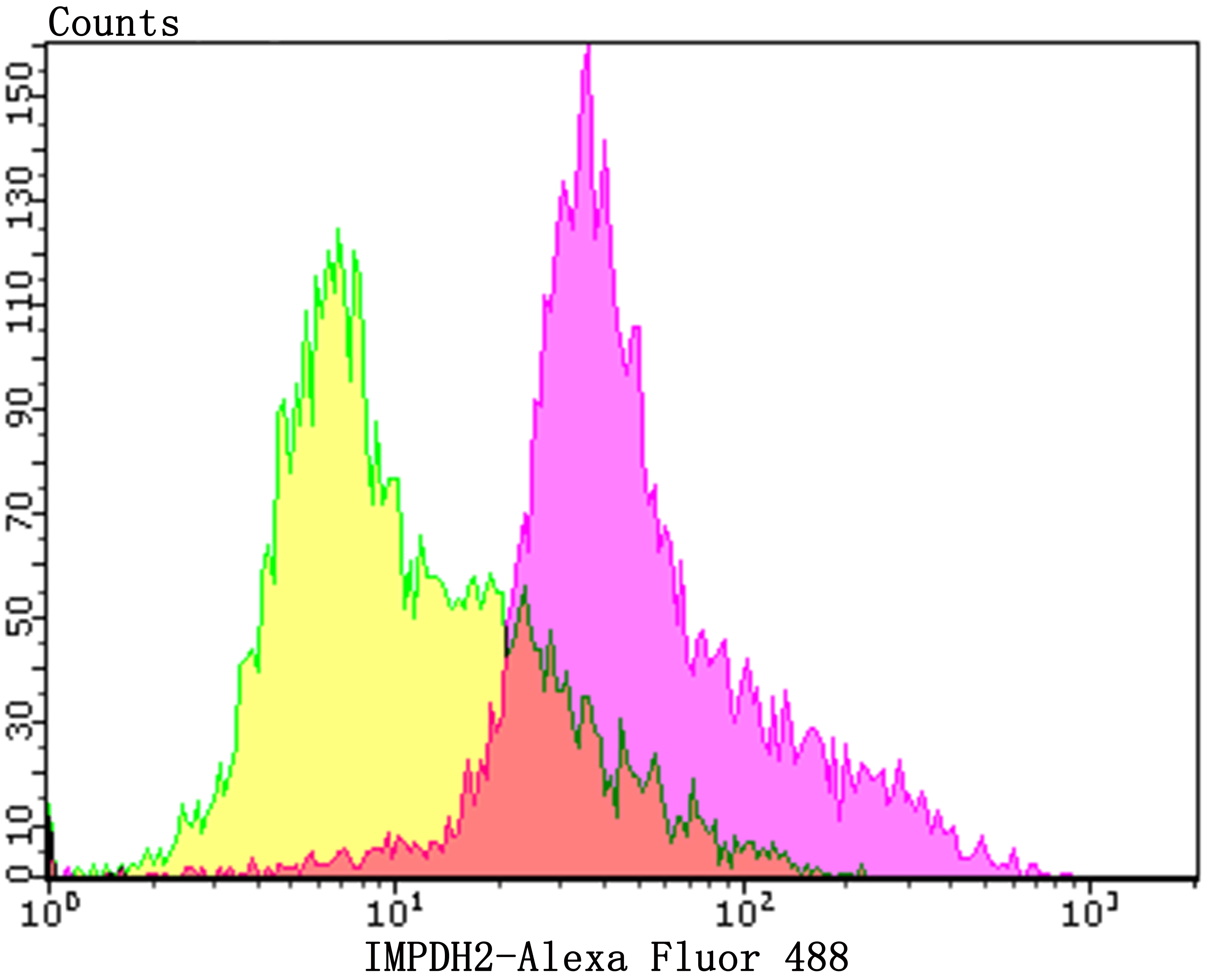 Anti-IMPDH2 Antibody (7R923)