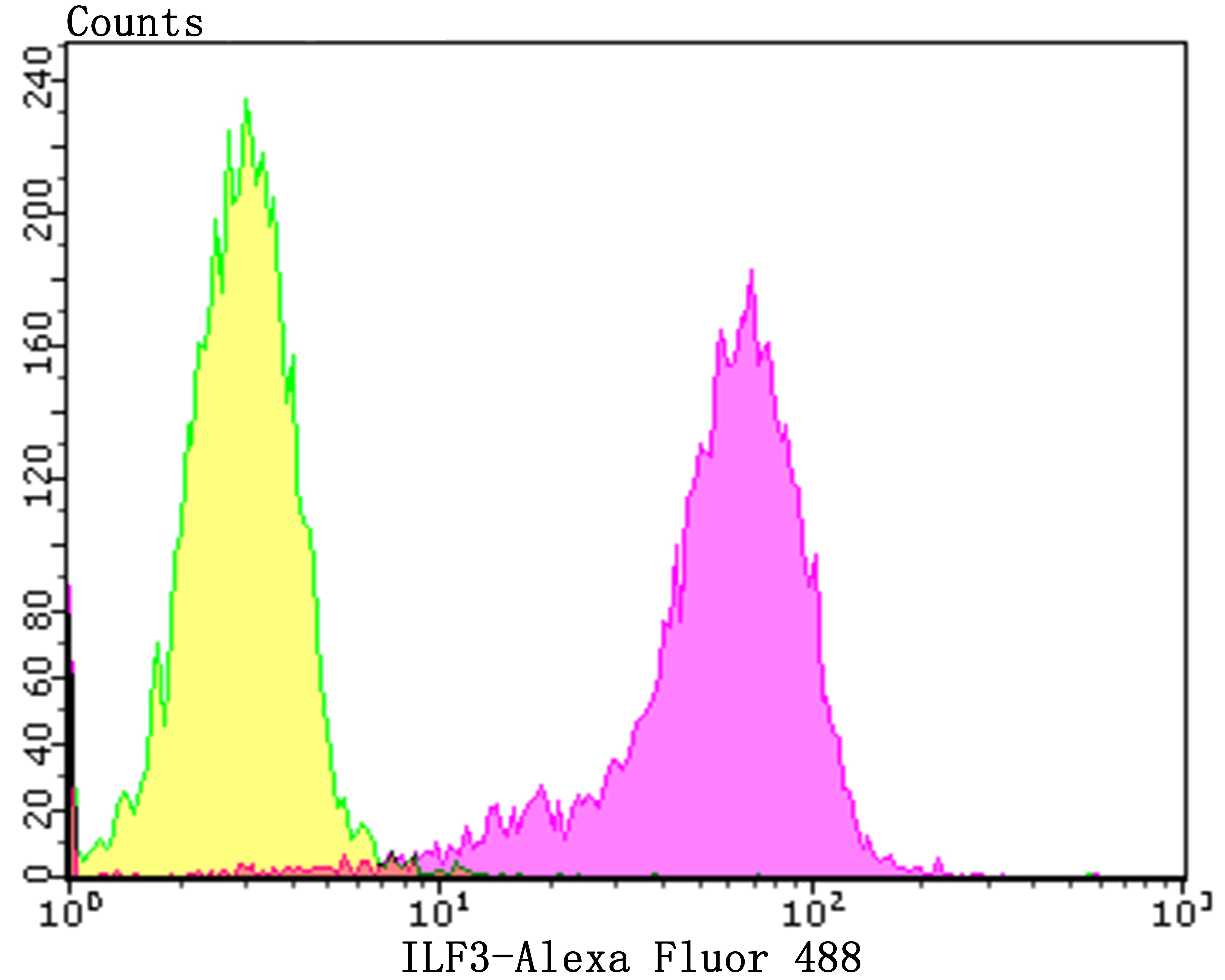 Anti-ILF3 Antibody (8T791)