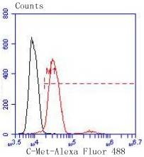 Anti-HGFR/c-Met Antibody (4N790)