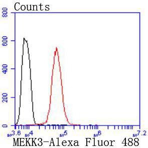 Anti-MAP3K3 Antibody (2Q519)