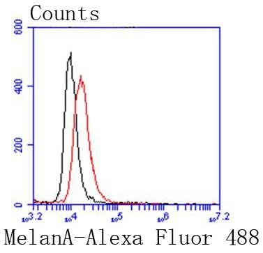 Anti-MLANA Antibody (3P758)