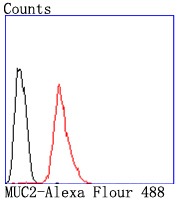 Anti-Mucin-2/MUC2 Antibody (9V575)