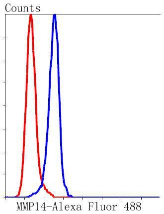 Anti-MMP-14 Antibody (7I45)