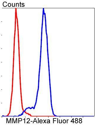 Anti-MMP-12 Antibody (1B615)