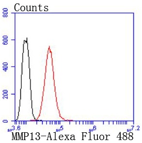 Anti-MMP-13 Antibody (2L744)