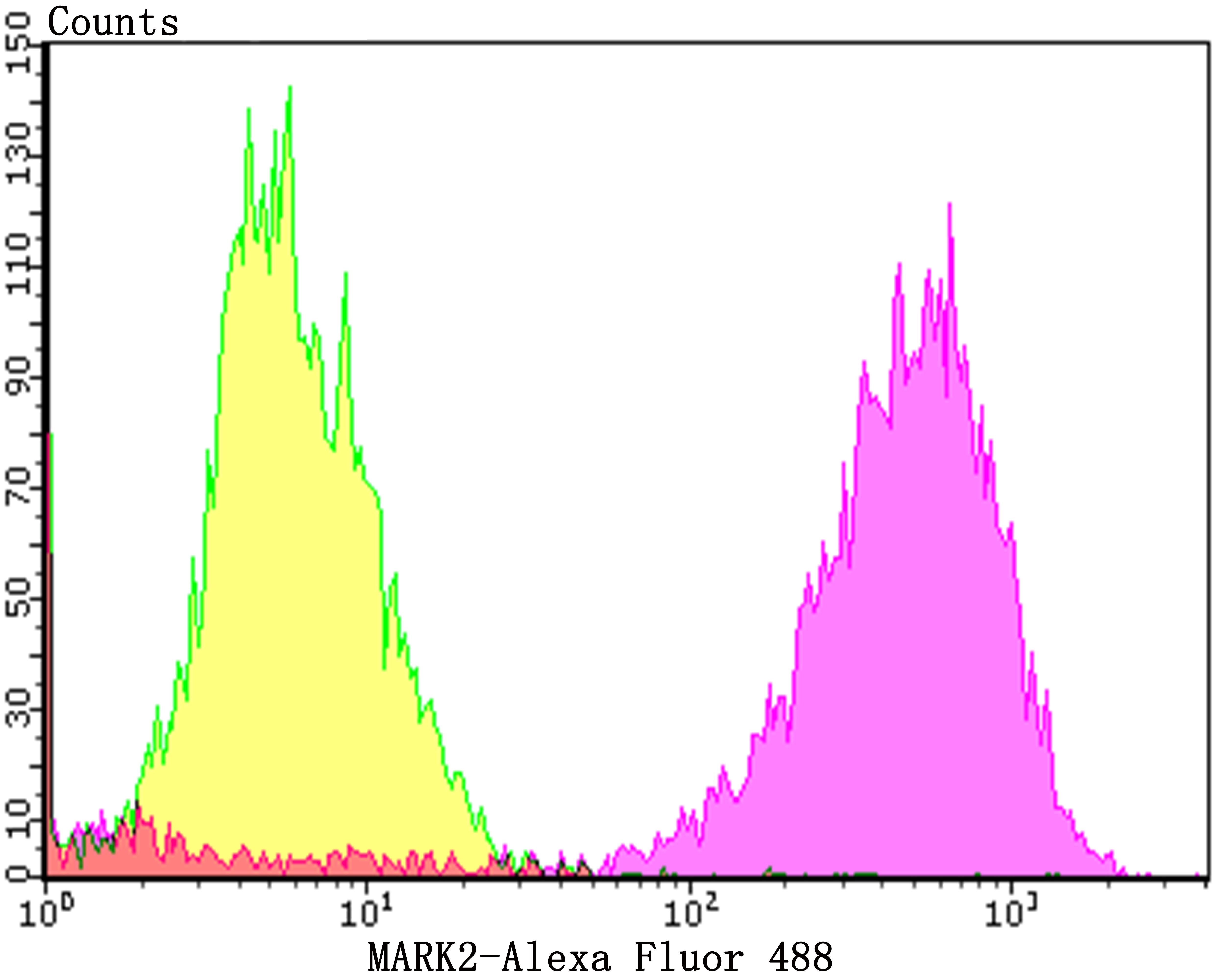 Anti-MARK2 Antibody (5N875)