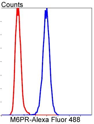 Anti-IGF2R Antibody (3T816)