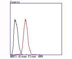 Anti-ABCC1 Antibody (2I585)