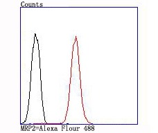 Anti-MRP2 Antibody (3L876)