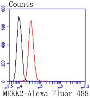 Anti-MEKK2 Antibody (5G332)