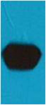 Anti-mStrawberry Polyclonal Antibody 2