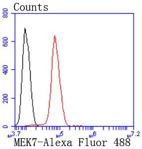 Anti-MEK-7 Antibody (9U312)