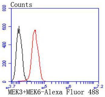 Anti-MAP2K3/MAP2K6 Antibody (7F635)