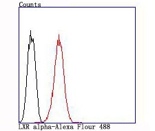 Anti-LXR-alpha Antibody (5E494)