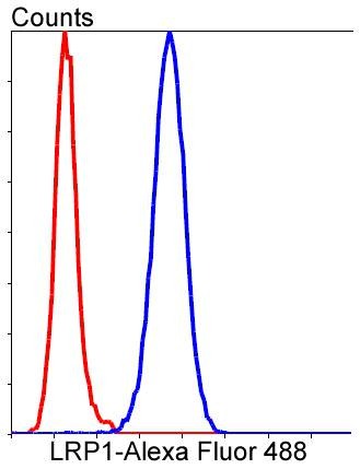 Anti-LRP1 Antibody (9Z880)