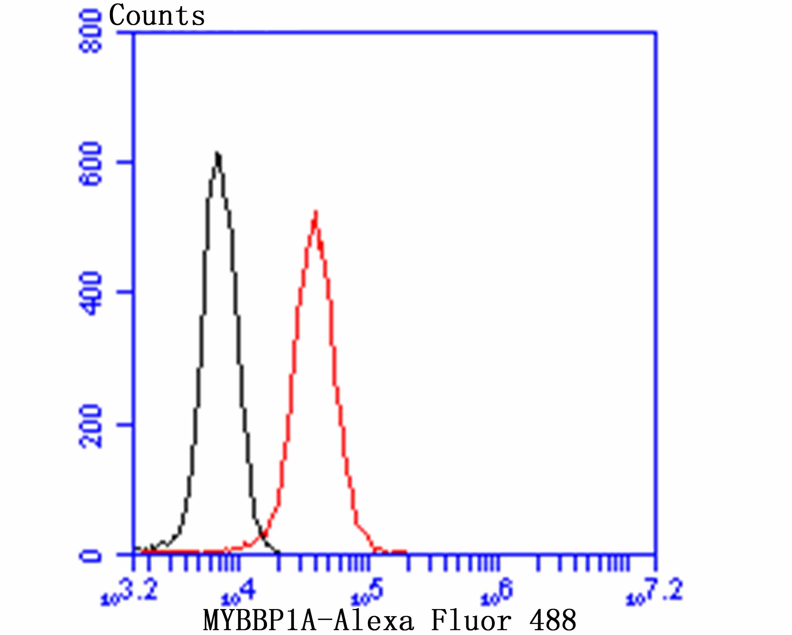 Anti-MYBBP1A Antibody (3Q540)