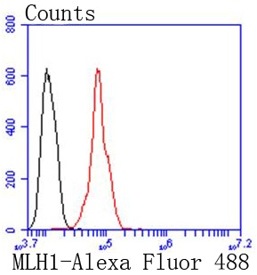 Anti-MLH1 Antibody (9P46)