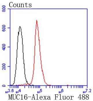 Anti-Mucin-16/MUC16 Antibody (2J784)