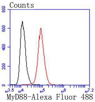 Anti-MYD88 Antibody (2C378)
