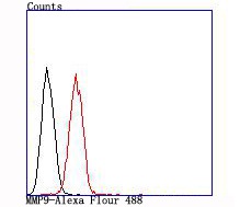 Anti-MMP-9 Antibody (5C993)