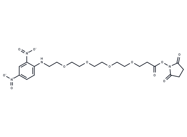 DNP-PEG4-NHS ester