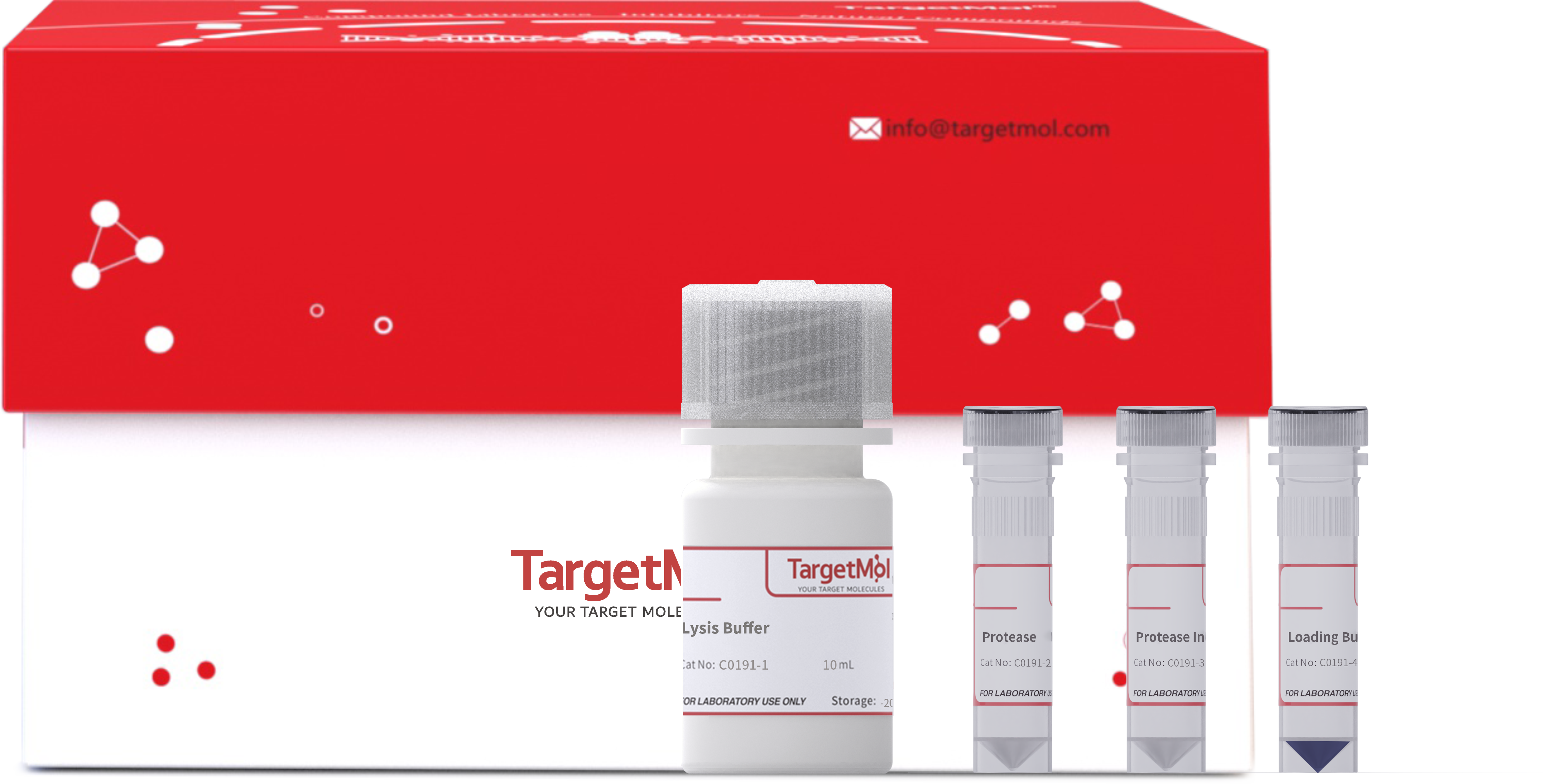 Drug Affinity Responsive Target Stability (DARTS) Assay Kit
