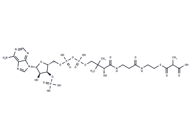 Methylmalonyl-CoA