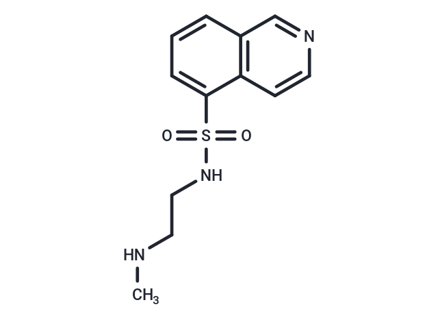 Protein kinase inhibitor 7