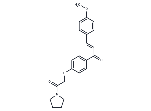 Apoptosis inducer 19