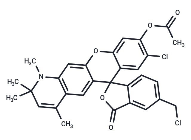 CellTracker Orange CMRA Dye