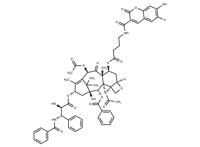 6FC-GABA-Taxol