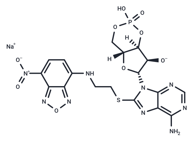 8-NBD-cAMP sodium