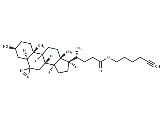Photoclick cholesterol