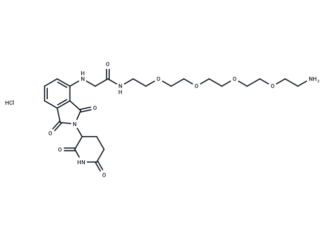 Thalidomide-NH-amido-PEG4-C2-NH2 hydrochloride
