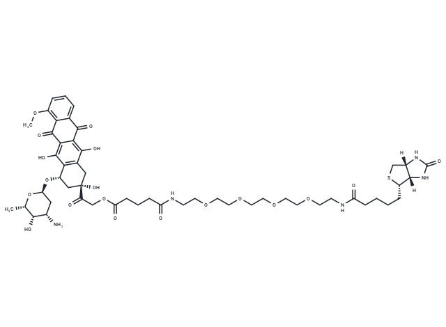 Biotin-doxorubicin