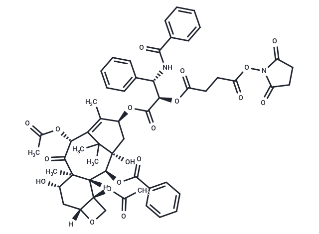 Paclitaxel-2′-succinate NHS ester