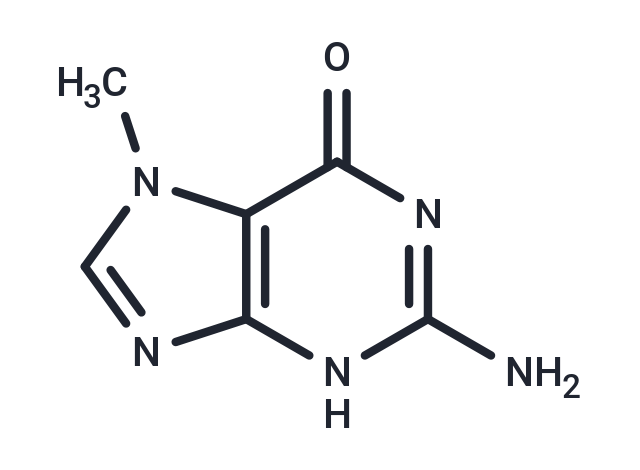 7-Methylguanine