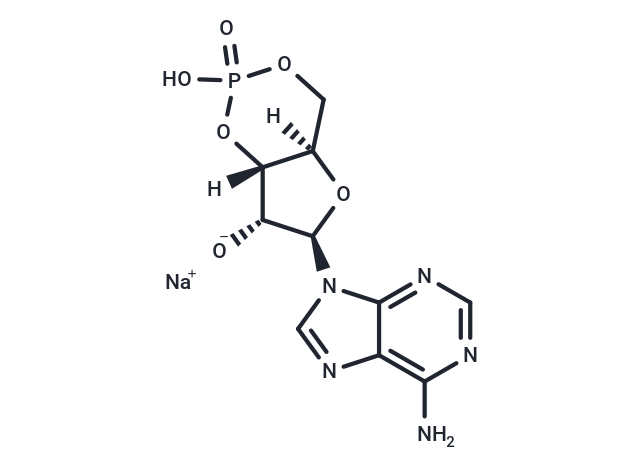 cAMP sodium
