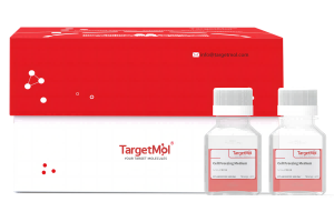 0.05% Trypsin-EDTA, phenol red (1×)