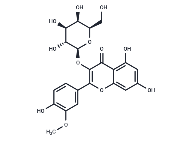 Isorhamnetin 3-O-galactoside
