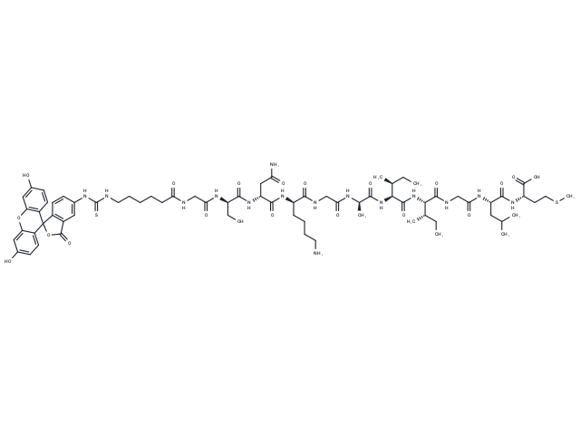 FITC-β-Amyloid (25-35)