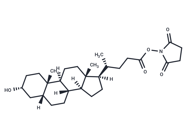 Lithocholyl-N-hydroxysuccinimide