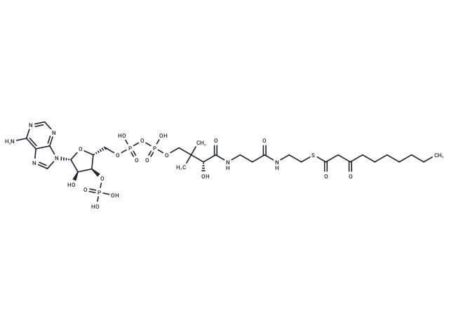 3-Oxodecanoyl-CoA
