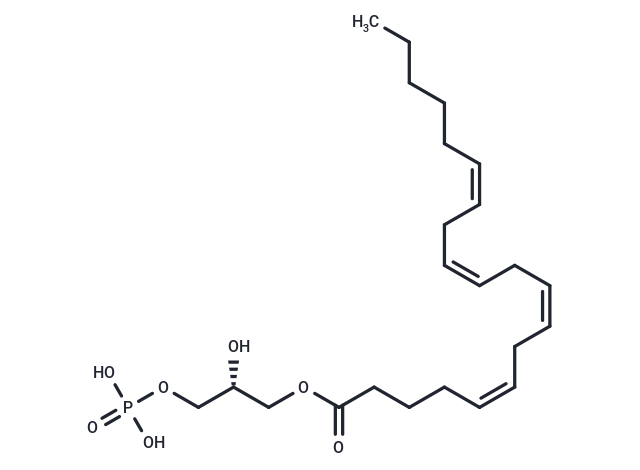 1-Arachidonoyl-2-hydroxy-sn-glycero-3-PA