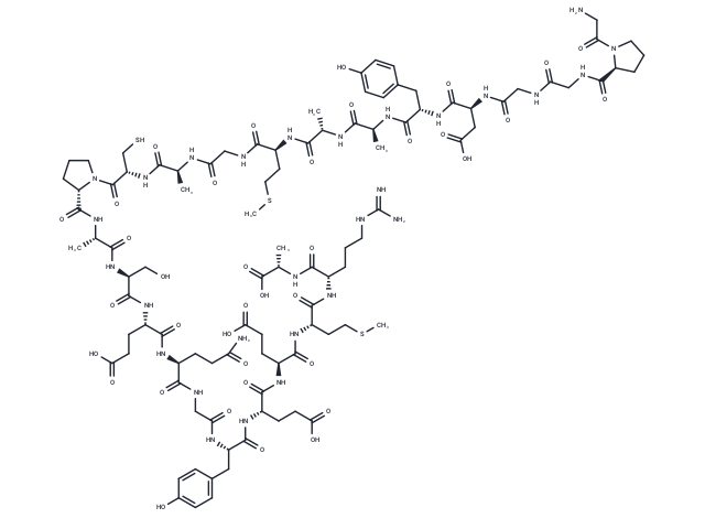 ErbB2 peptide