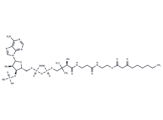 3-Oxononanoyl-CoA