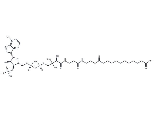 Dodecanedioyl-CoA
