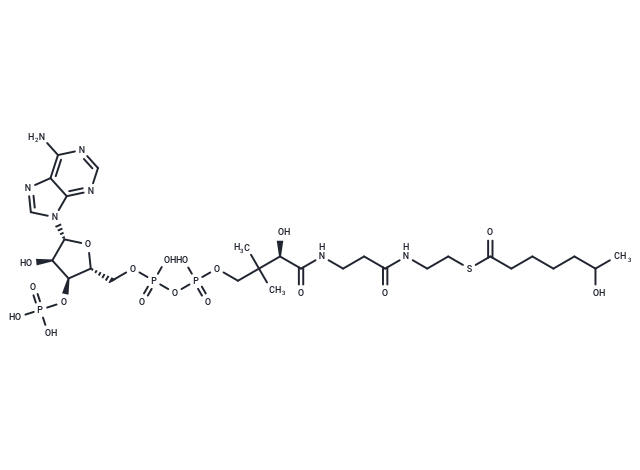 6-Hydroxyheptanoyl-CoA