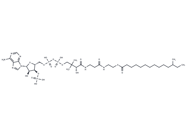 Anteisopentadecanoyl-CoA