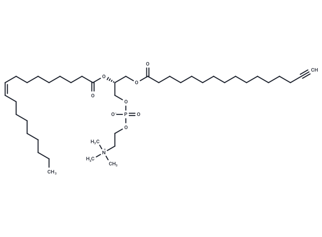 16:0(Alkyne)-18:1 PC
